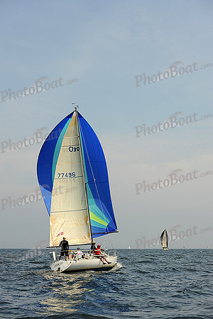2013 Vineyard Race A 982