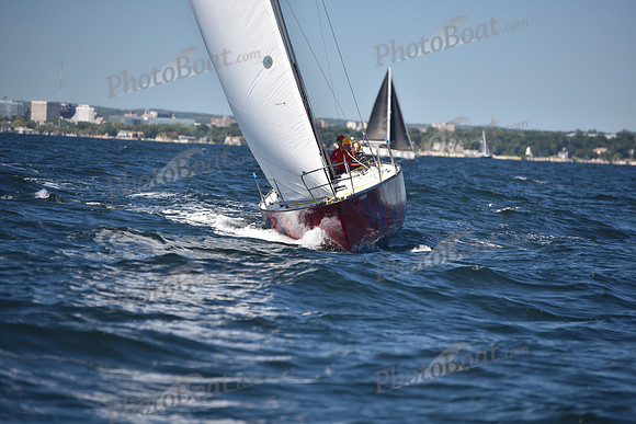 2022 Vineyard Race A_0568
