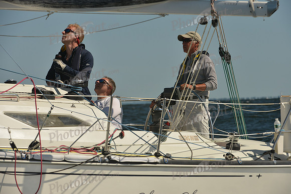 2015 Vineyard Race C 239