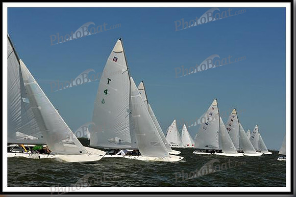 proof_2010_EScows_E 686
