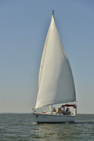 2017 Southern Bay Race Week B_0280