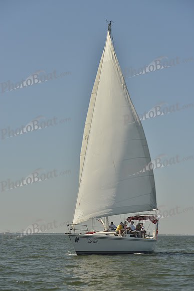 2017 Southern Bay Race Week B_0280