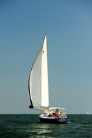 2014 Cape Charles Cup A 1516