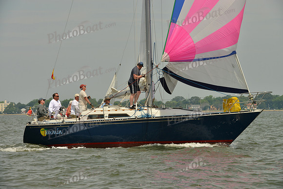 2016 Southern Bay Race Week F_0345