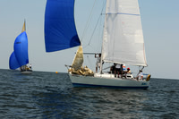 2011 Southern Bay RW D 1013