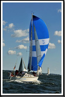 proof_2010_Vineyard_Race_0158