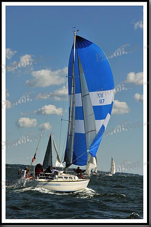 proof_2010_Vineyard_Race_0158