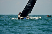 Cymothoe