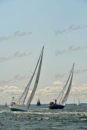 2017 Stamford Denmark Race_0706