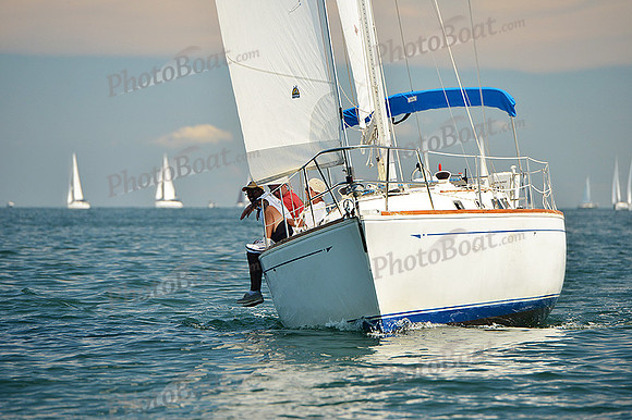 2015 Cape Charles Cup C 343