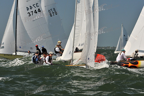2012 Thistle Midwinters C 093
