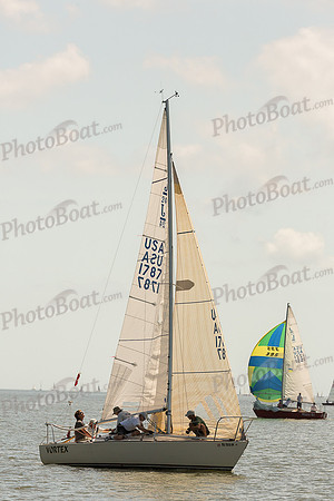 DBP_8294