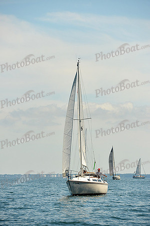 2015 Cape Charles Cup C 202