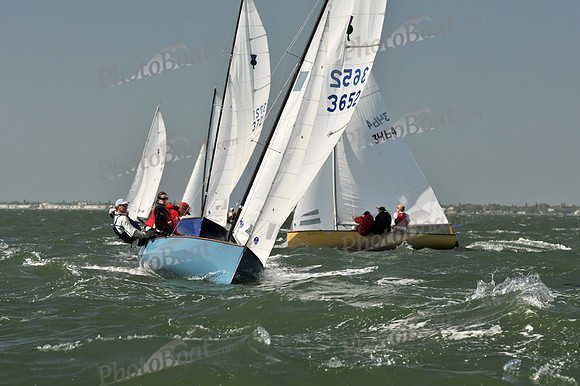 2012 Thistle Midwinters B 589