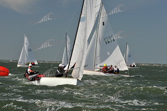2012 Thistle Midwinters B 576
