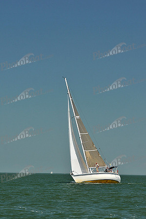 2013 Southern Bay Race Week C 1869