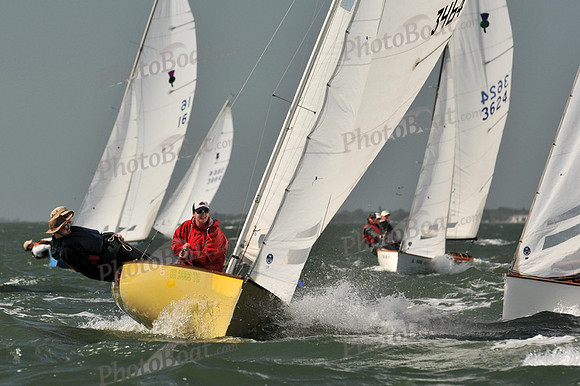 2012 Thistle Midwinters B 601