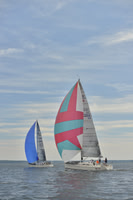2016 Vineyard Race A_0600