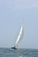 2022 Newport Bermuda_1890