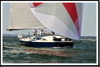 proof_2010_Vineyard_Race_1226
