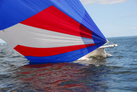 AMC_3209