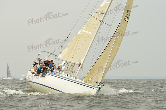 2015 Vineyard Race A 204