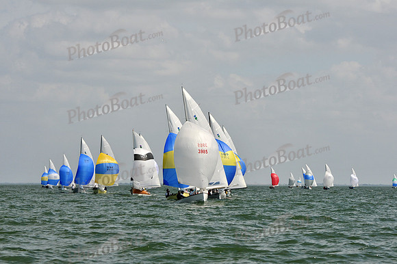 2012 Thistle Midwinters B 1392