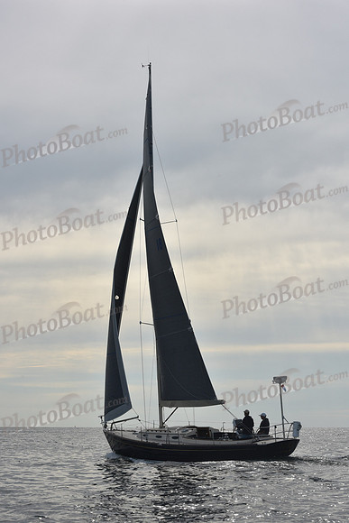 2019 Around Marthas Vineyard A_0354