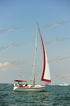 2014 Cape Charles Cup A 428