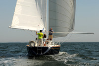 2012 Vineyard Race A 259
