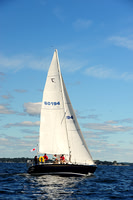 2014 Vineyard Race A 260