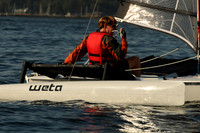2011 HPDO A 2774