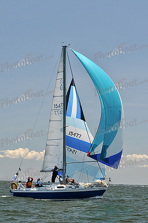 2014 Southern Bay Race Week C 2135