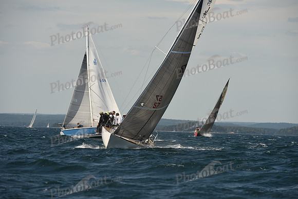 2016 Chester Race Week A_1423