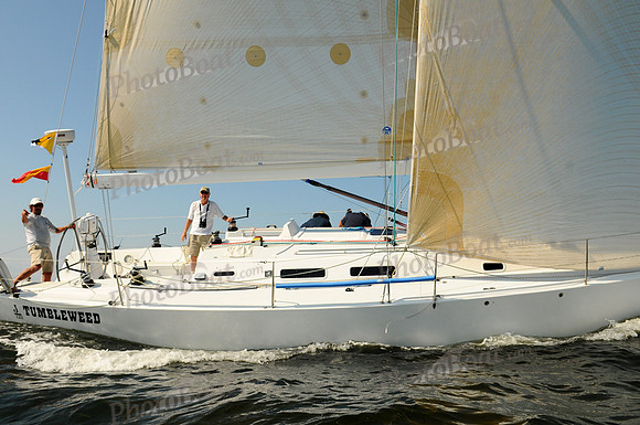 2011 Vineyard Race A 2076