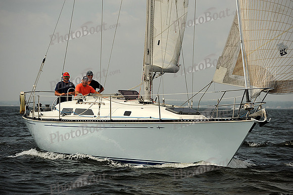 2013 Vineyard Race A 589