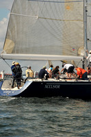 2010 IRC LIS 311