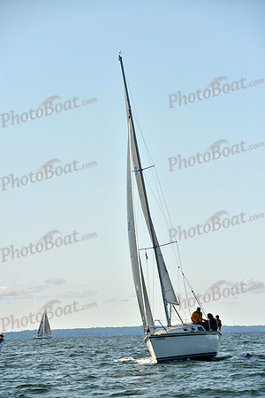 2017 Stamford Denmark Race_0087