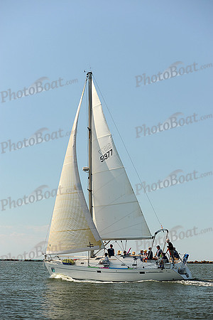 2014 Charleston Race Week A 232