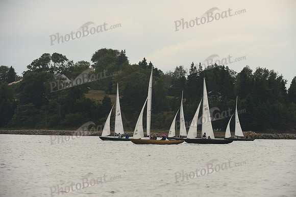 2016 Chester Race Week D_1006