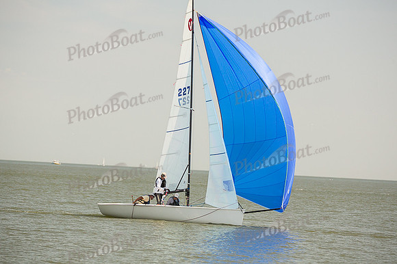 DBP_8246