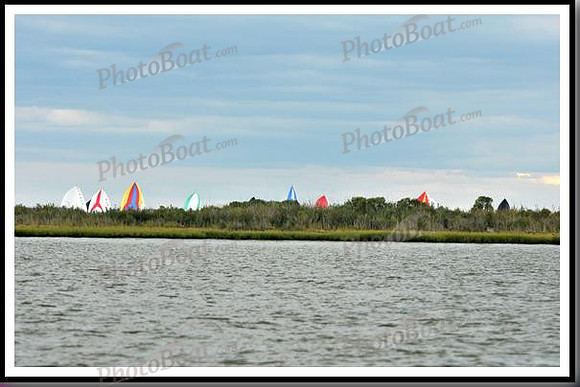 proof_2010_EScows_C 110
