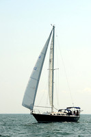 2014 Cape Charles Cup A 557