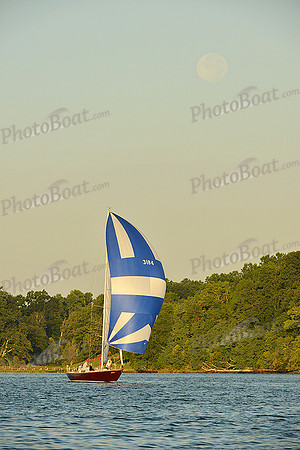 2015 Gov Cup C 556