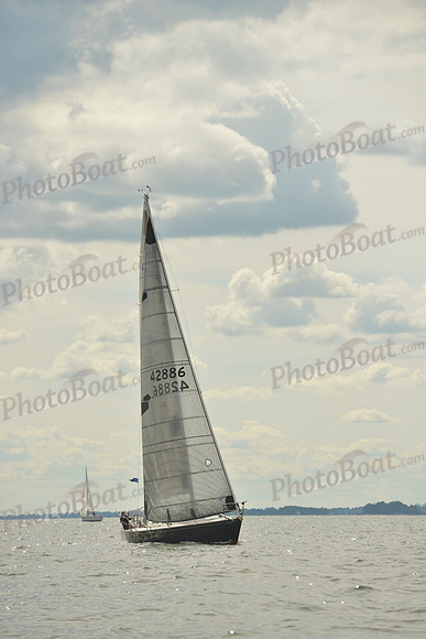 2016 Vineyard Race A_1416
