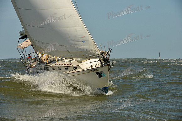 2016 Charleston Race Week C 0254