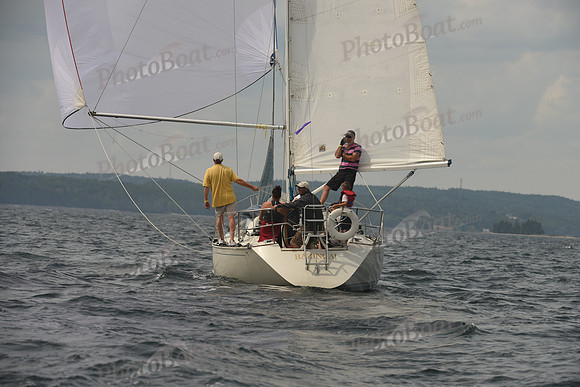 2016 Chester Race Week C_1685