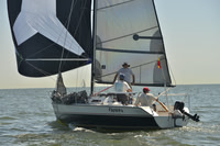 2017 Southern Bay Race Week B_0441