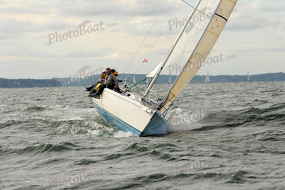2010_AYC_Fall_B 018