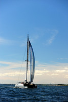 2014 Vineyard Race A 1568